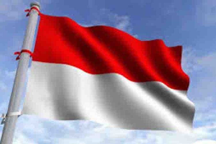 Detail Bendera Berkibar Merah Putih Nomer 10