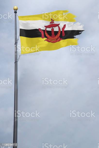 Detail Bendera Brunei Darussalam Nomer 46