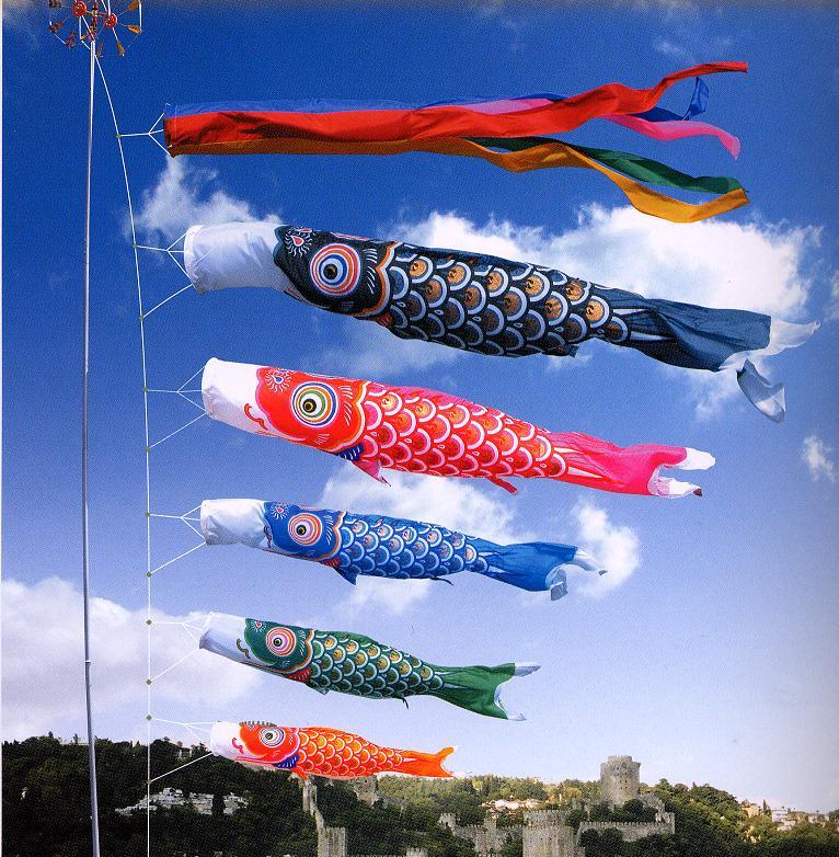 Bendera Ikan Jepang - KibrisPDR