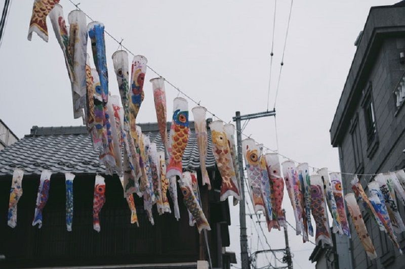 Detail Bendera Ikan Jepang Nomer 45