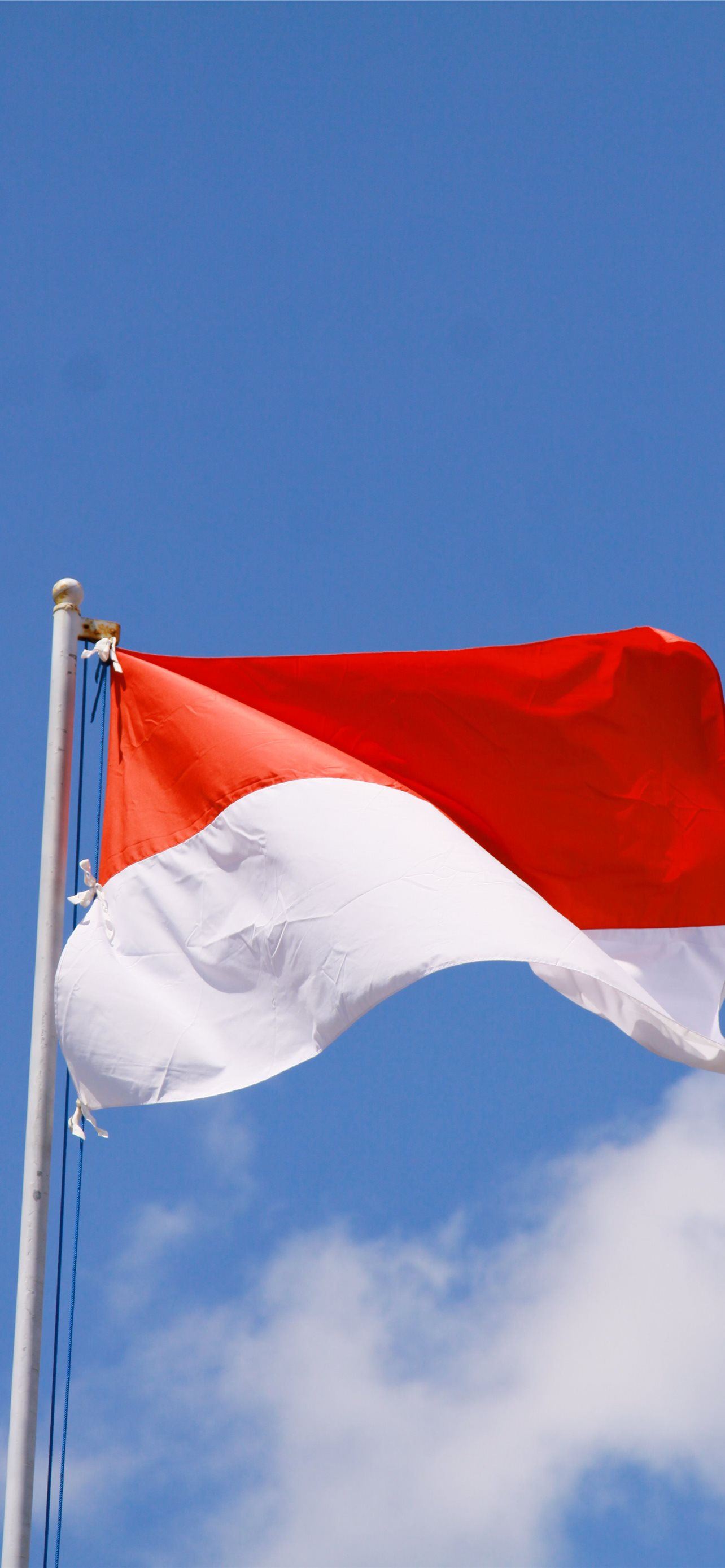 Detail Bendera Indonesia Background Nomer 29