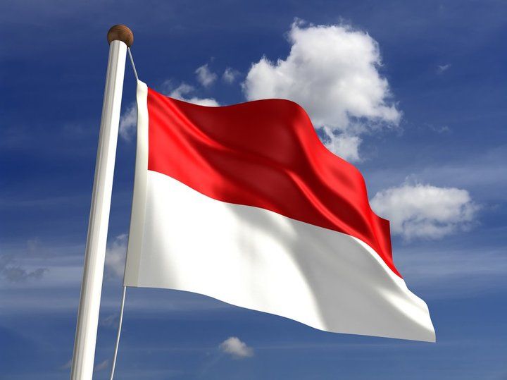 Detail Bendera Indonesia Berkibar Nomer 9