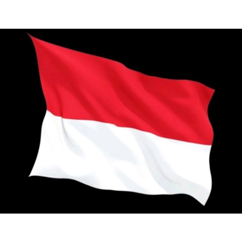 Detail Bendera Indonesia Foto Nomer 25