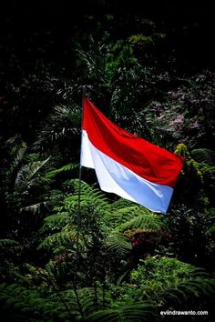 Detail Bendera Indonesia Portrait Nomer 18