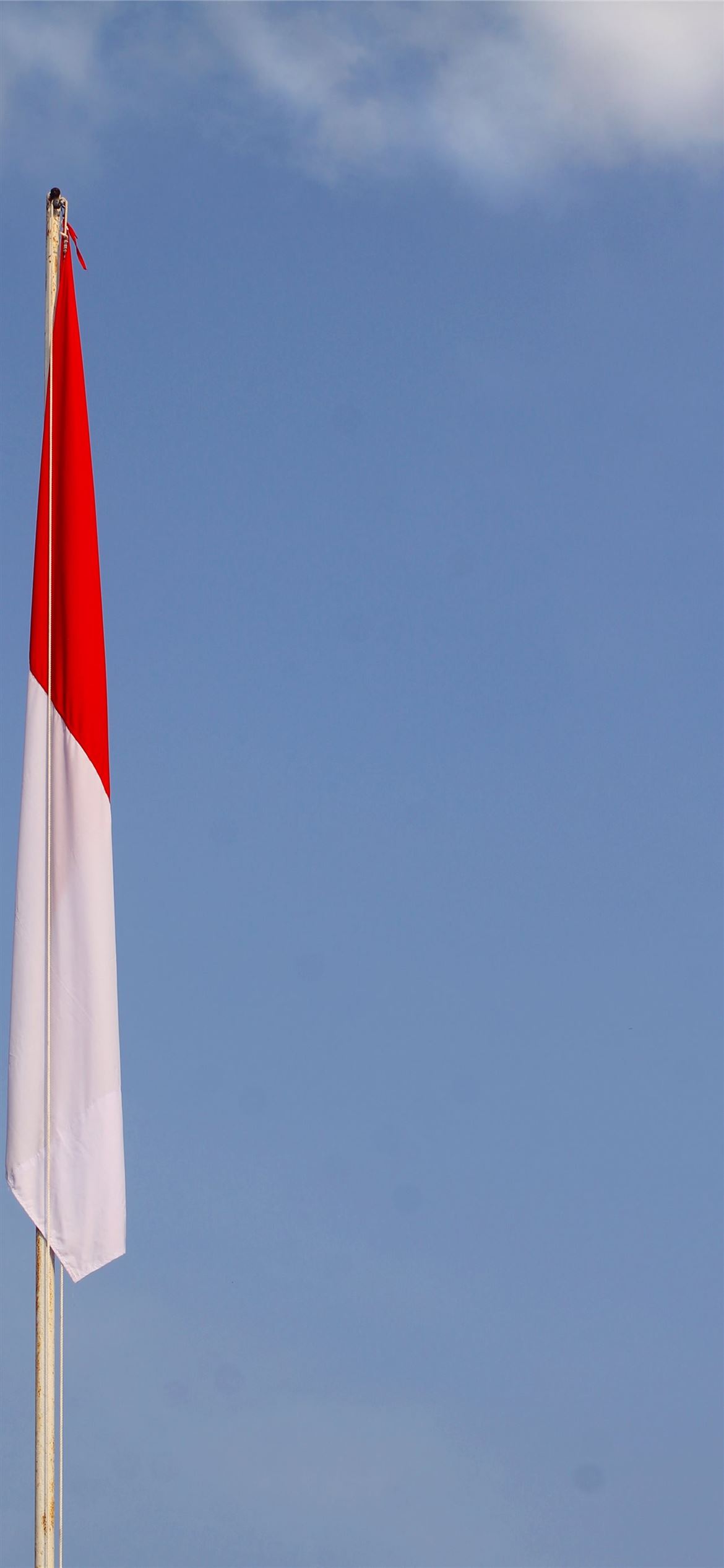 Detail Bendera Indonesia Portrait Nomer 28