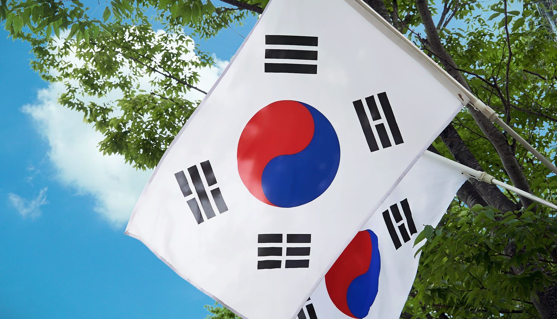 Detail Bendera Korea Selatan Dan Indonesia Nomer 44