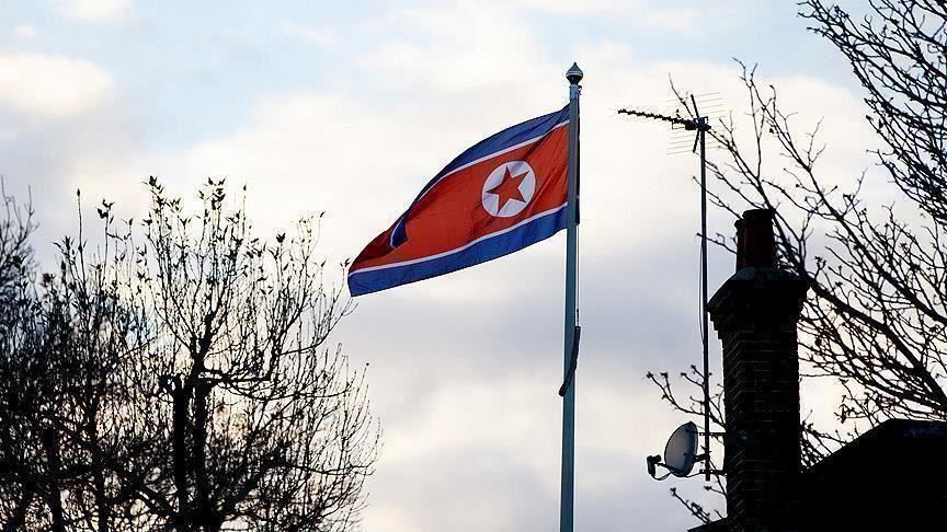 Detail Bendera Korea Selatan Dan Korea Utara Nomer 26