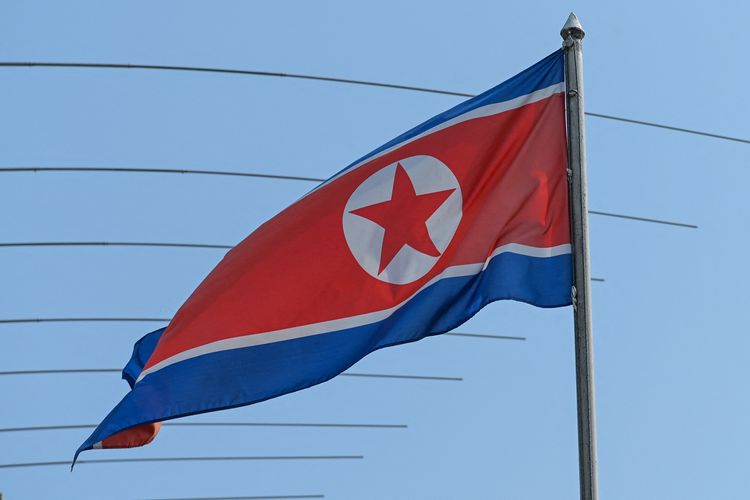 Detail Bendera Korea Utara Dan Korea Selatan Nomer 17
