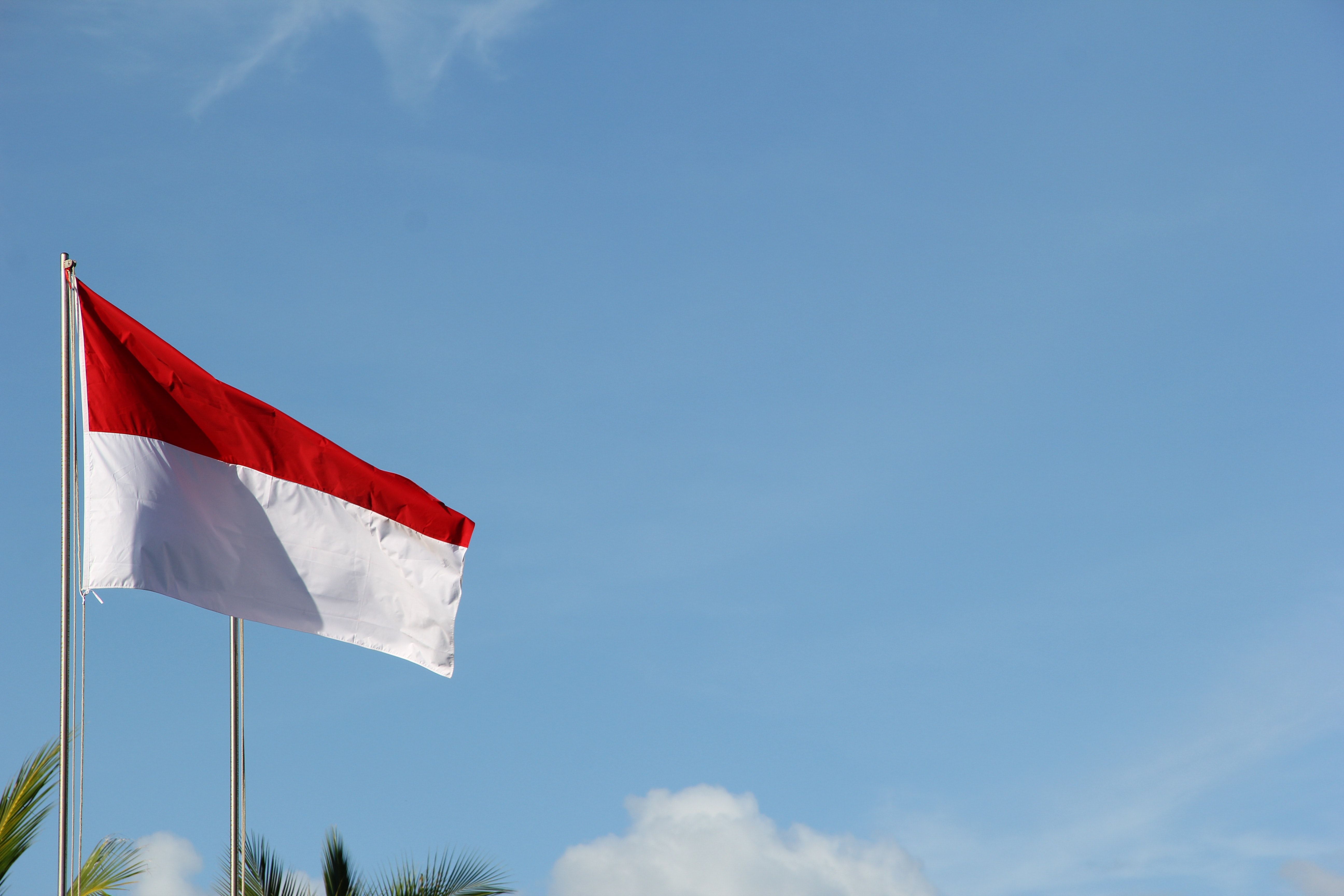 Detail Bendera Merah Putih Background Kemerdekaan Nomer 24