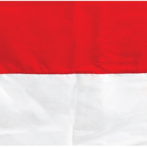 Detail Bendera Merah Putih Berkibar Ukuran Besar Gif Nomer 33