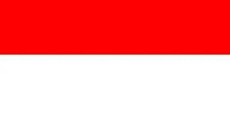 Detail Bendera Merah Putih Berkibar Ukuran Besar Png Nomer 39