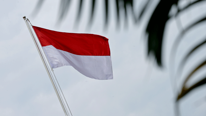 Detail Bendera Merah Putih Desain Nomer 45