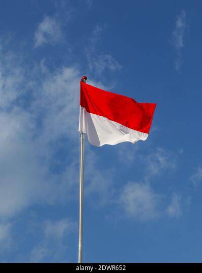 Detail Bendera Merah Putih Potrait Nomer 17