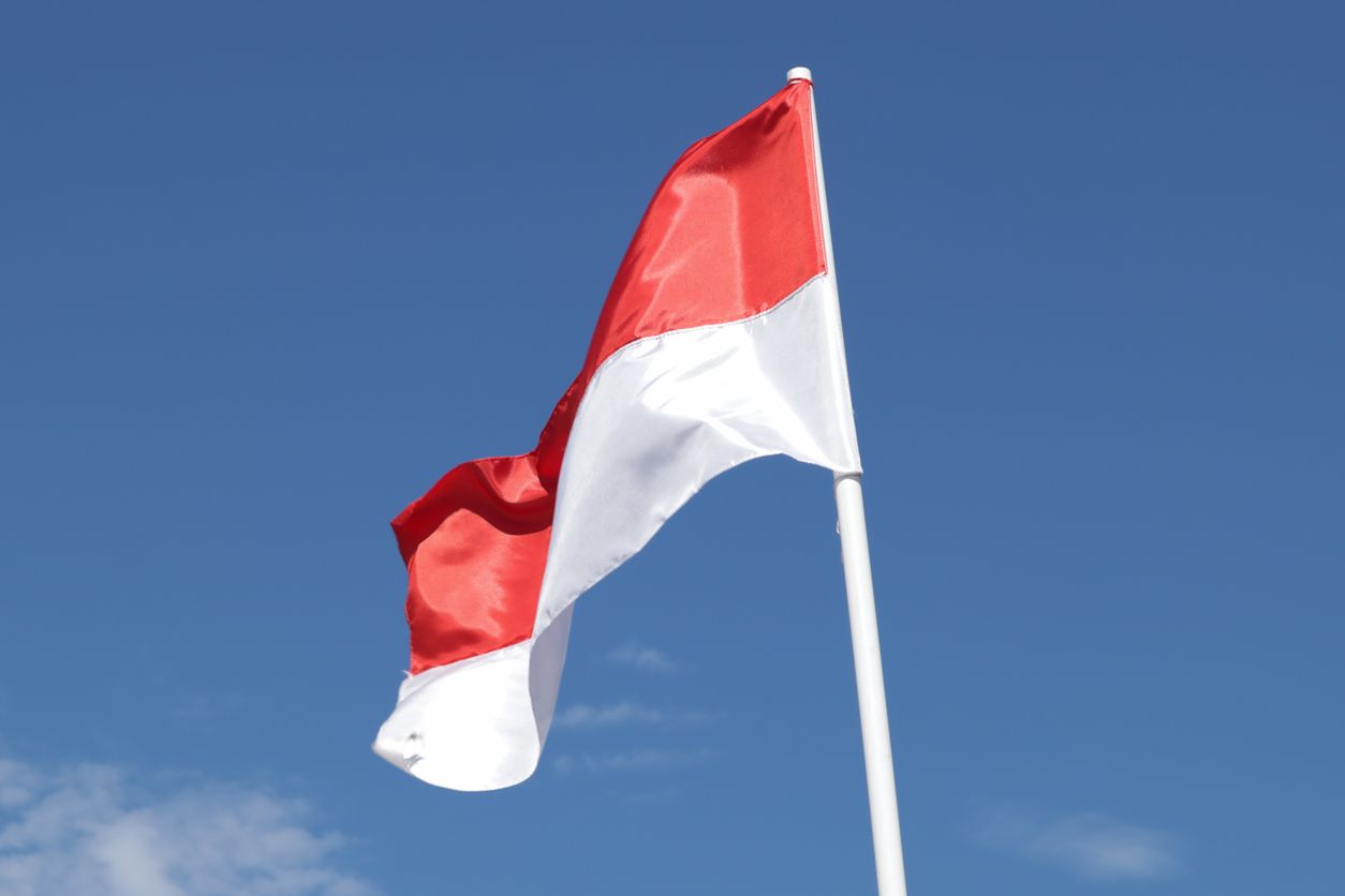 Detail Bendera Merah Putih Potrait Nomer 21