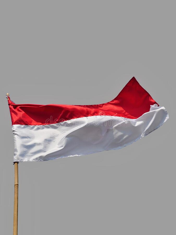 Detail Bendera Merah Putih Potrait Nomer 25