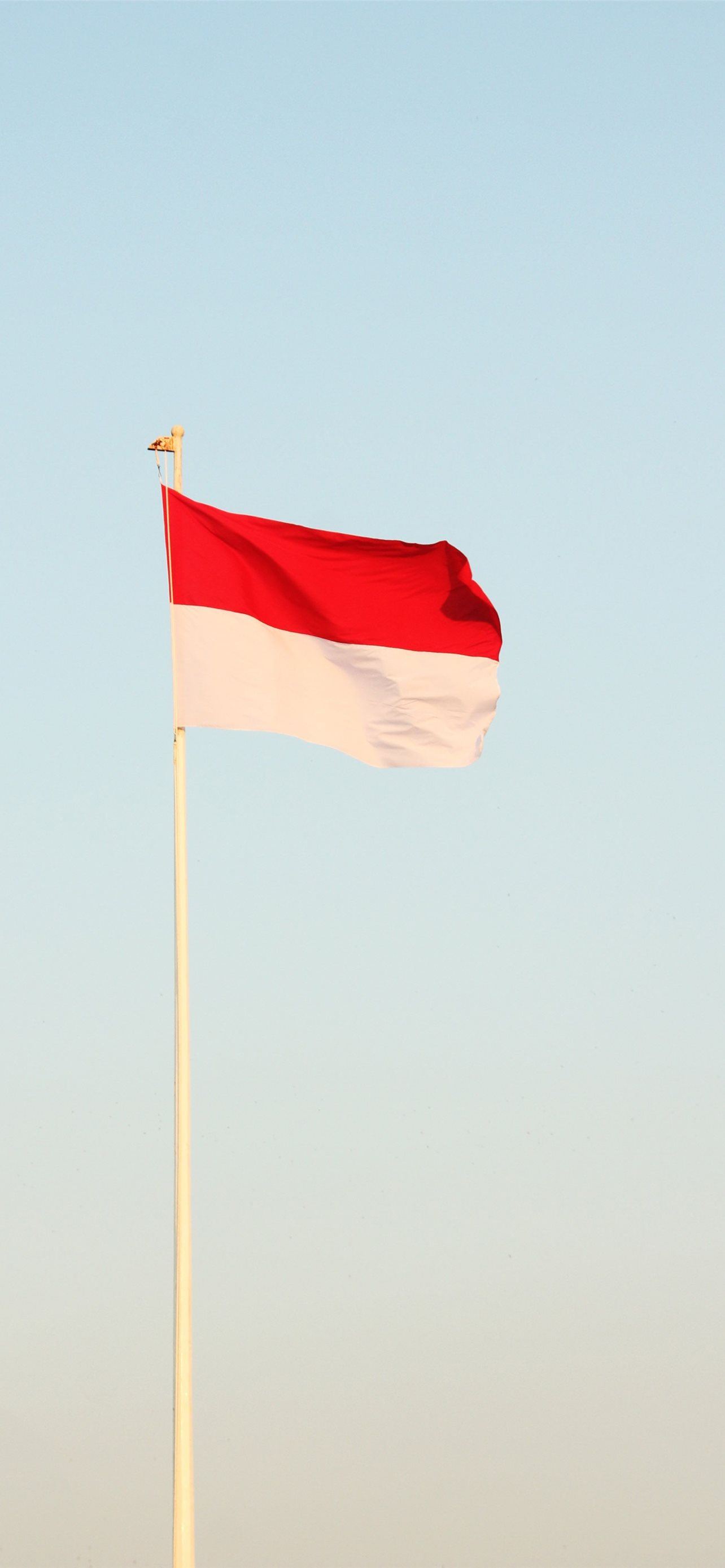 Detail Bendera Merah Putih Potrait Nomer 28