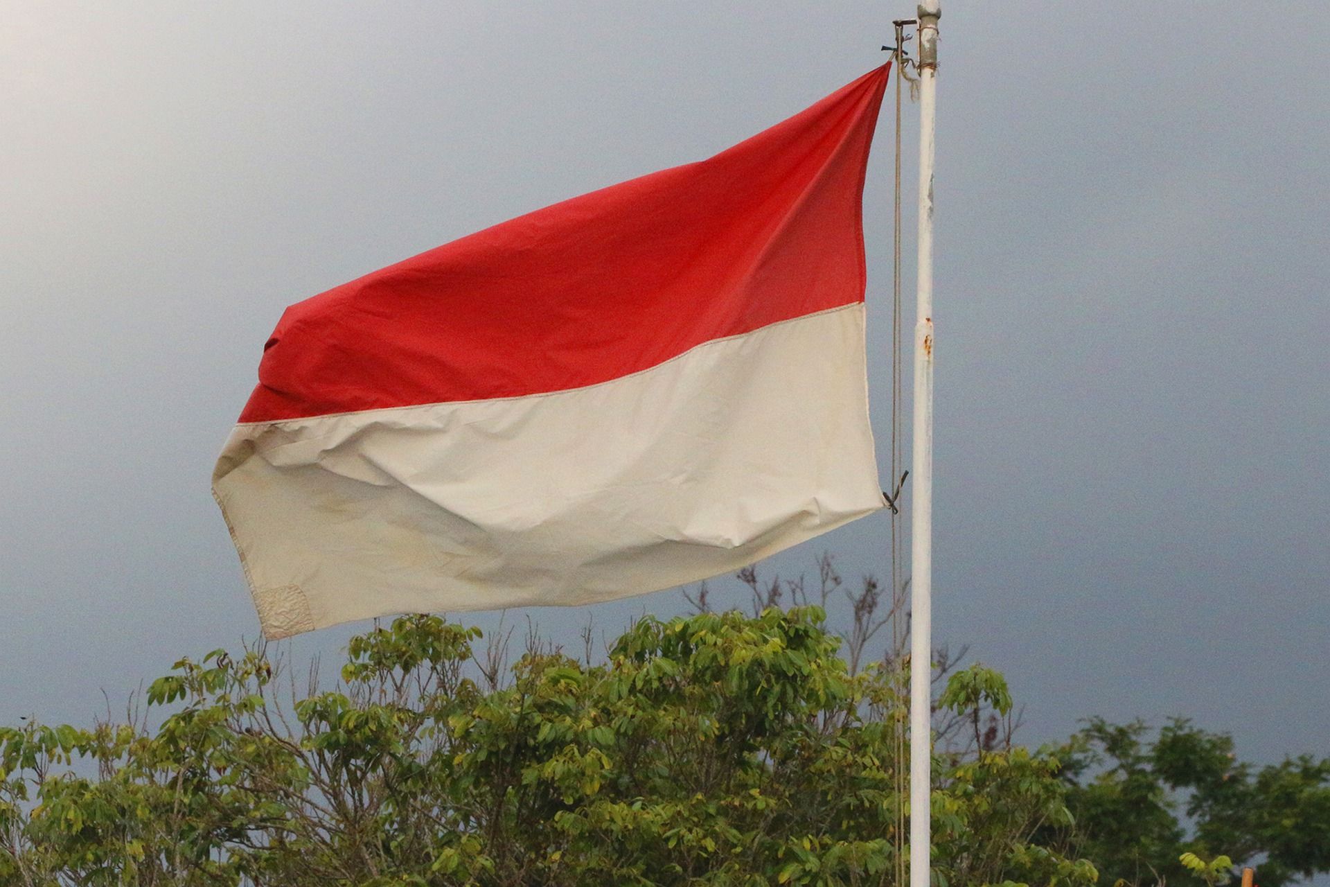 Detail Bendera Merah Putih Potrait Nomer 41