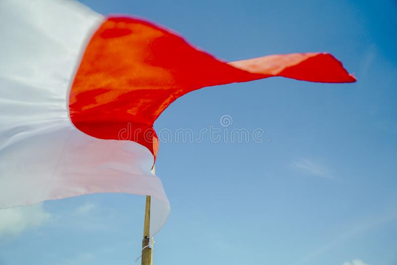 Detail Bendera Merah Putih Potrait Nomer 42