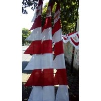 Detail Bendera Merah Putih Segitiga Nomer 56