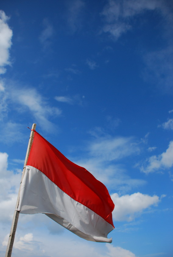 Detail Bendera Merah Putih Tumblr Nomer 6