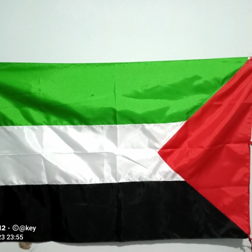 Detail Bendera Negara Dubai Nomer 31