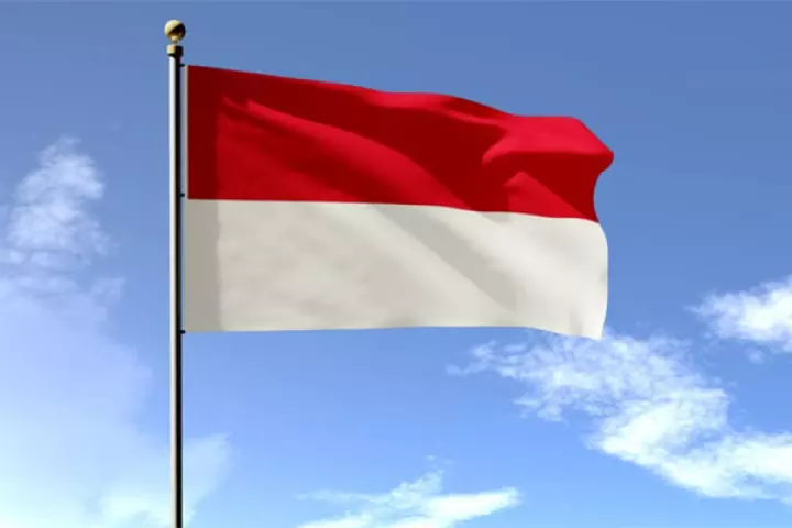 Detail Bendera Negara Indonesia Nomer 49