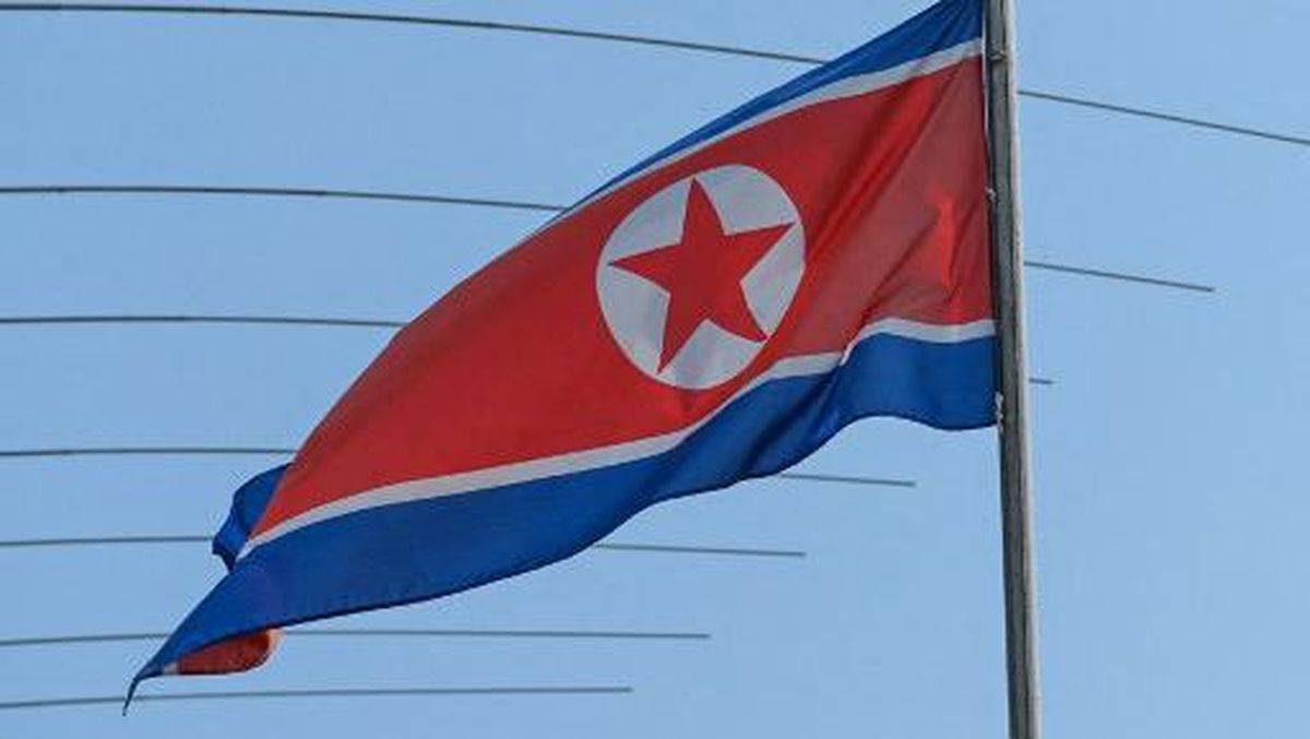 Detail Bendera Negara Korea Utara Nomer 19