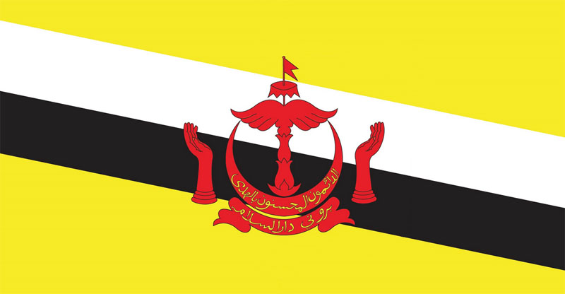 Detail Bendera Negara Laos Nomer 27