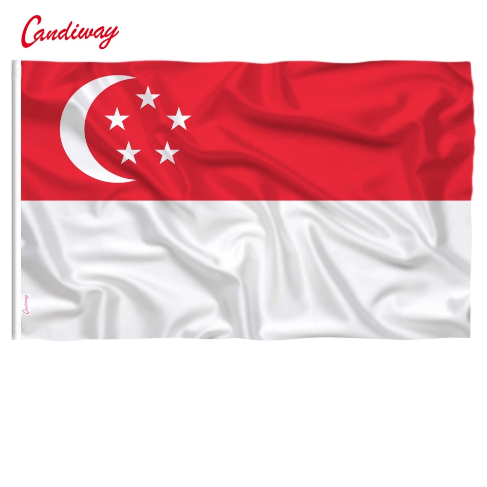 Detail Bendera Negara Singapura Nomer 31