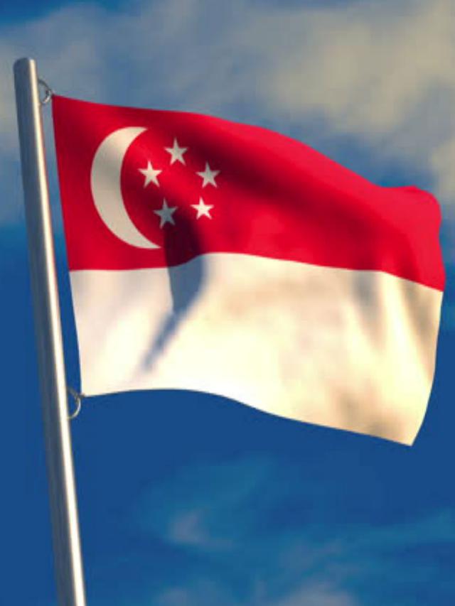 Detail Bendera Negara Singapura Nomer 46