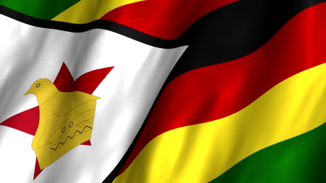 Detail Bendera Negara Zimbabwe Nomer 11