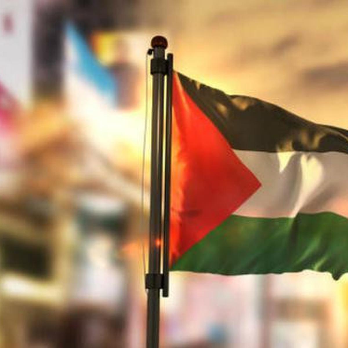 Detail Bendera Palestina Dan Israel Nomer 13