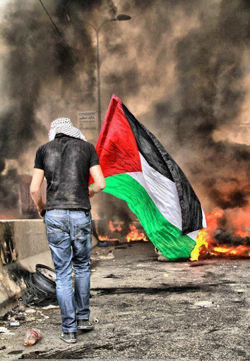 Detail Bendera Palestina Download Nomer 52