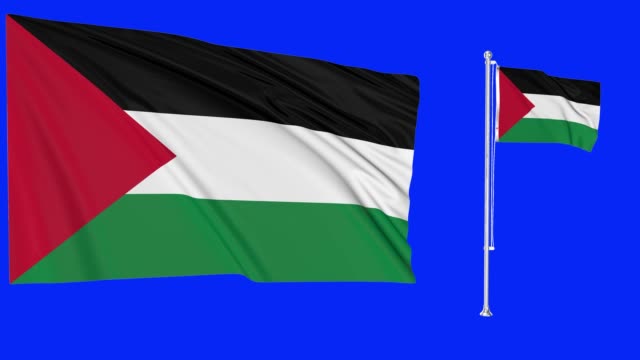 Detail Bendera Palestina Hd Nomer 31