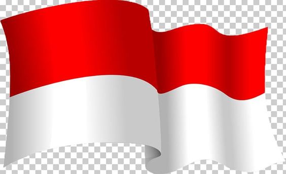 Detail Bendera Palestina Png Nomer 18