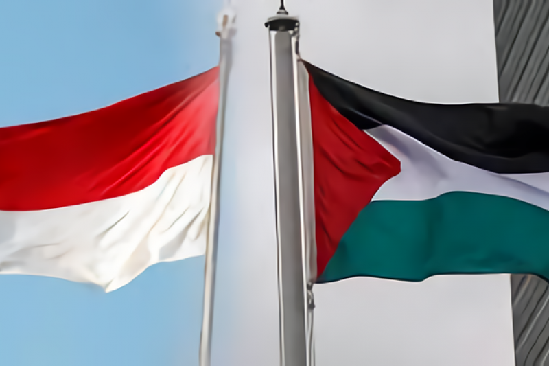 Detail Bendera Palestina Png Nomer 33