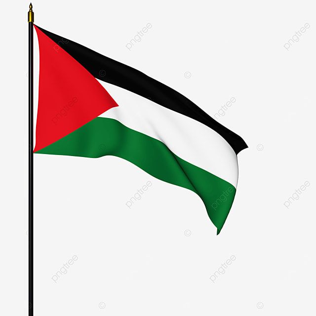 Detail Bendera Palestina Png Nomer 41
