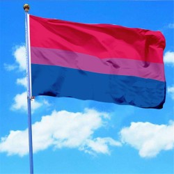 Detail Bendera Pink Ungu Biru Nomer 11