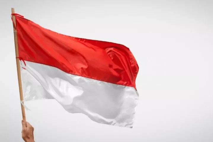 Detail Bendera Polos Putih Nomer 52
