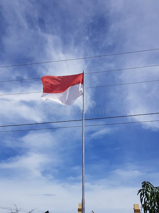 Detail Bendera Setengah Tiang Vector Nomer 20