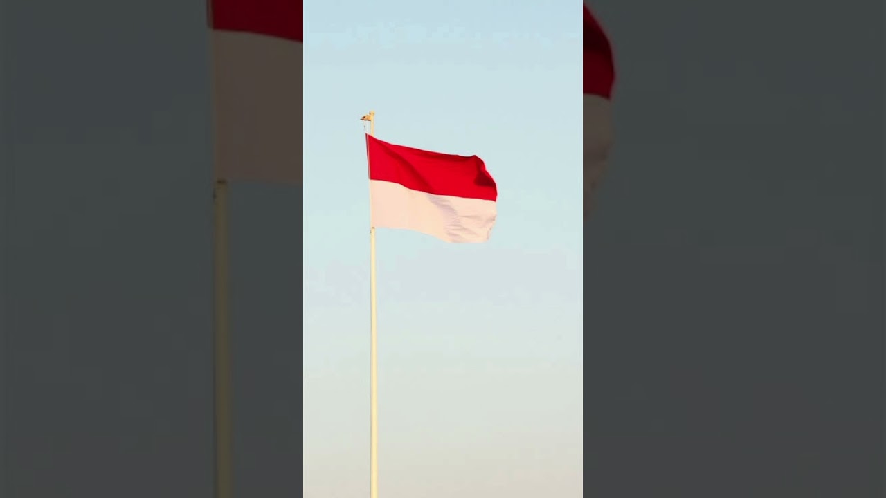 Detail Bendera Setengah Tiang Vector Nomer 47