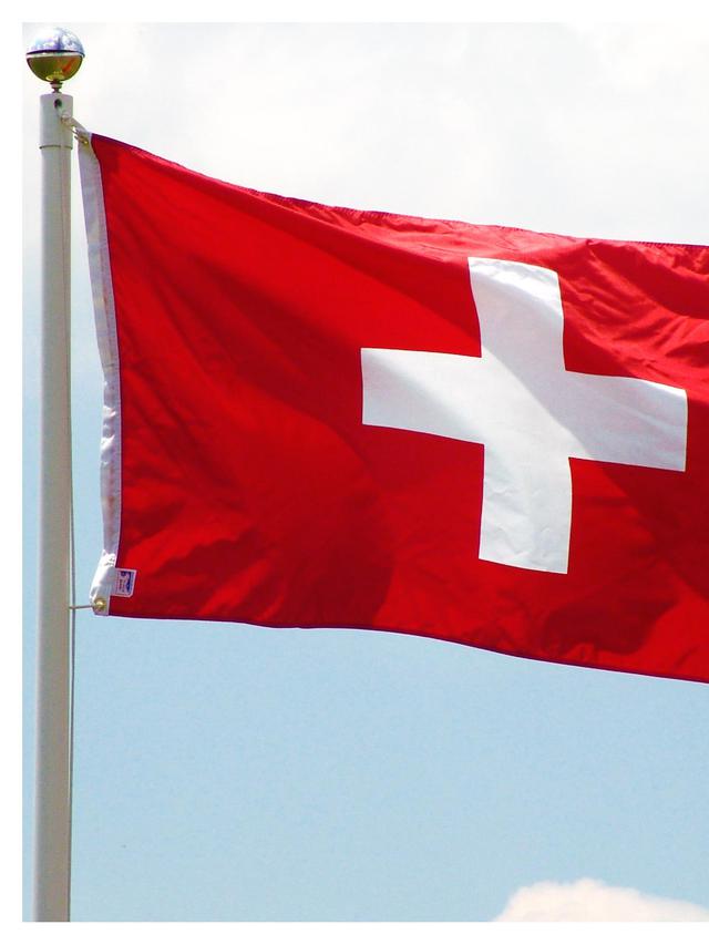 Detail Bendera Swiss Dan Swedia Nomer 16