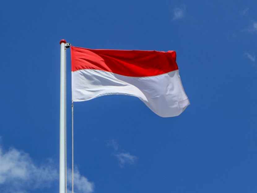 Detail Bendera Warna Merah Putih Biru Nomer 44