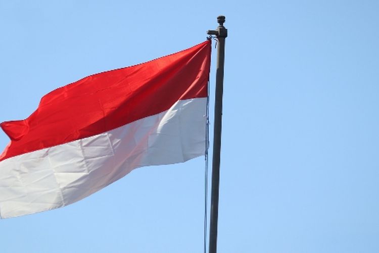 Detail Bendera Warna Merah Putih Biru Nomer 53