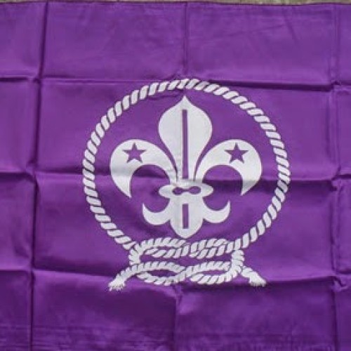 Detail Bendera Wosm Pramuka Nomer 23