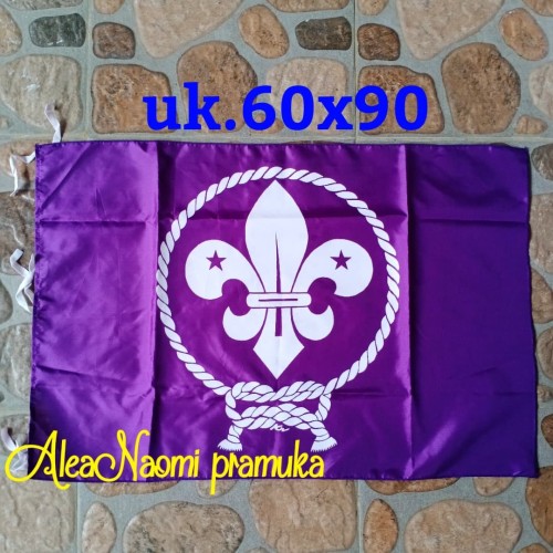 Detail Bendera Wosm Pramuka Nomer 30