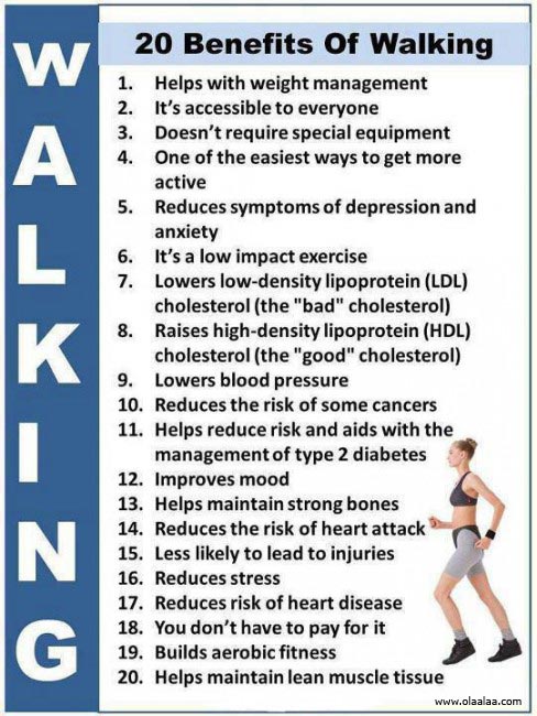 Detail Benefits Of Exercise Quotes Nomer 29