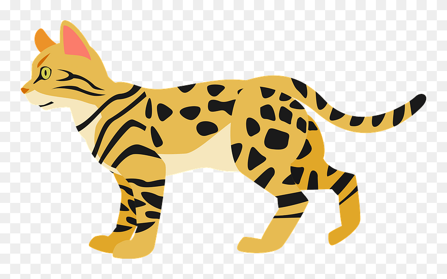 Detail Bengal Cat Png Nomer 35