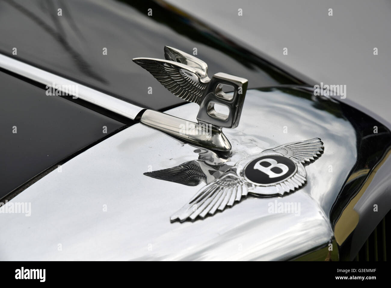 Detail Bentley Emblem Pictures Nomer 10