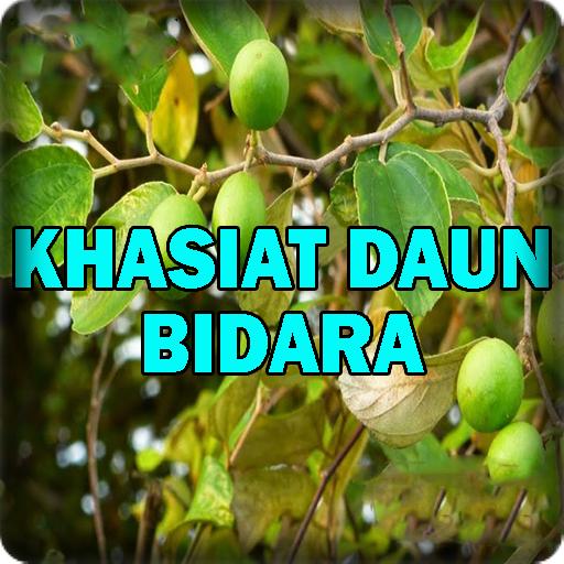Detail Bentuk Daun Bidara Nomer 50